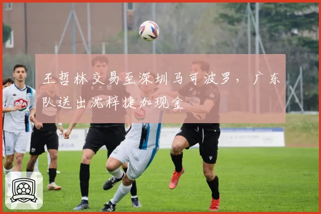 王哲林交易至深圳马可波罗，广东队送出沈梓捷加现金