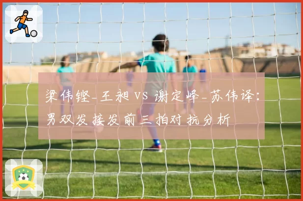 梁伟铿_王昶 vs 谢定峰_苏伟译:男双发接发前三拍对抗分析
