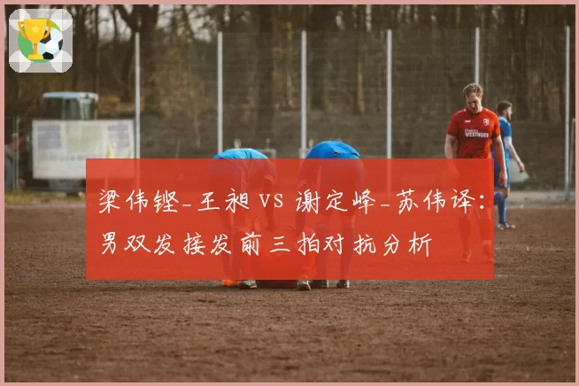 梁伟铿_王昶 vs 谢定峰_苏伟译：男双发接发前三拍对抗分析