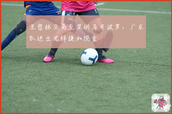 王哲林交易至深圳马可波罗,广东队送出沈梓捷加现金
